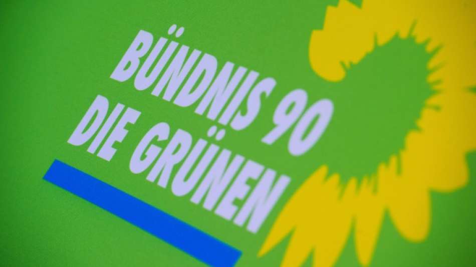 Gr&uuml;ne kritisieren Elbe-Abkommen als Gefahr f&uuml;r Natur und Hochwasserschutz