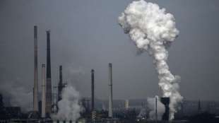 Schulze und Umweltbundesamt stellen Klimabilanz f&uuml;r 2020 vor
