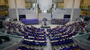 AfD wirft anderen Fraktionen Versto&szlig; gegen demokratische Regeln vor