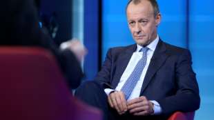 Merz kritisiert FDP f&uuml;r angeblich gebrochene Wahlversprechen