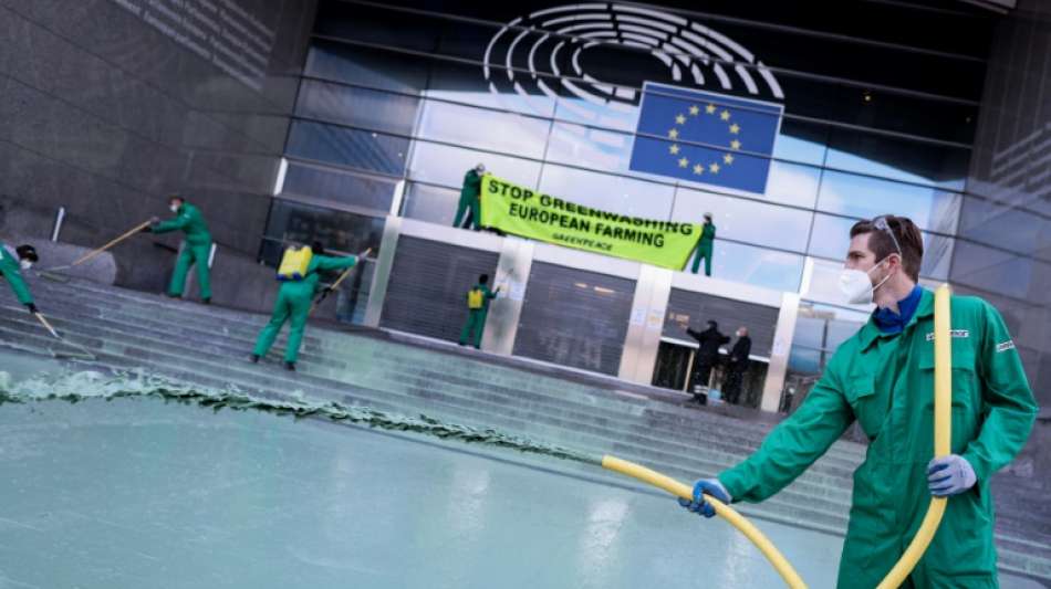 Greenpeace-Protest gegen EU-Agrarreform vor Europaparlament