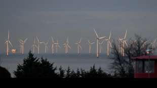 Branchenverb&auml;nde fordern von Politik deutliche Anstrengungen bei Offshore-Wind