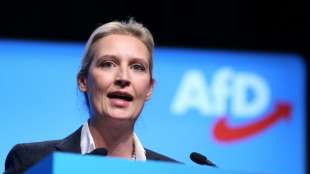 AfD scheitert mit Klage gegen Bu&szlig;geld in Spendenaff&auml;re