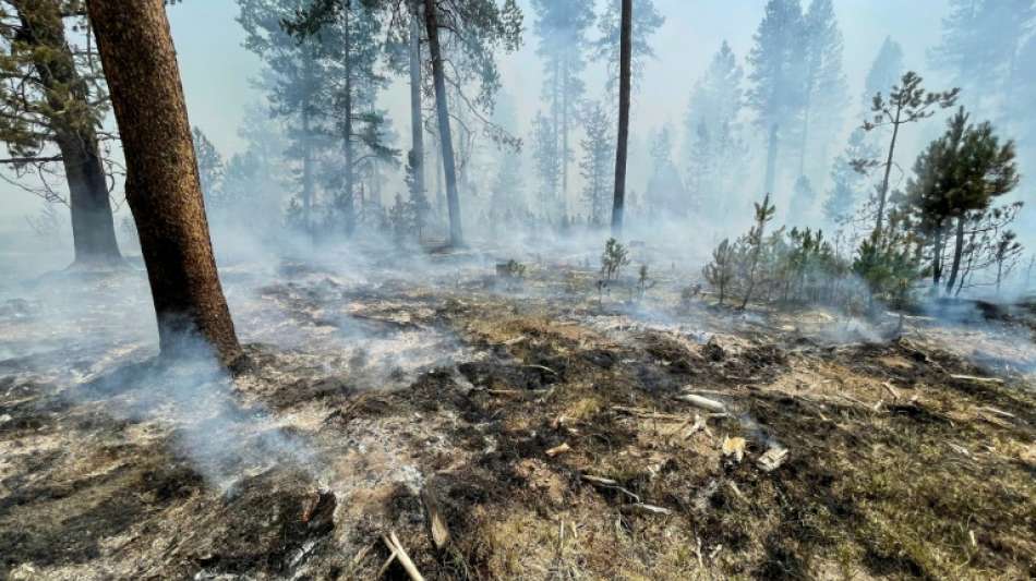 Waldbrand im US-Bundesstaat breitet sich weiter aus
