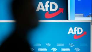 Institut f&uuml;r Menschenrechte: AfD ist rassistisch und rechtsextrem