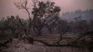 Kleinstadt Istiea auf griechischer Insel Eub&ouml;a von Waldbrand bedroht