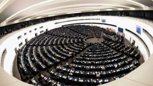 Emp&ouml;rung &uuml;ber Zeigen von Hitlergru&szlig; durch Abgeordneten im EU-Parlament