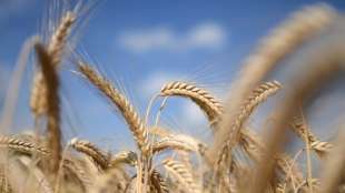 EU-Kommission setzt bei F&ouml;rderung von Bio-Landwirtschaft auf Verbraucher