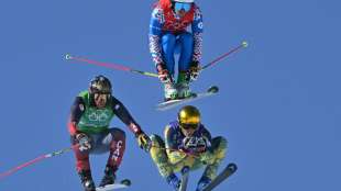 Skicross: Deutsche M&auml;nner ohne Medaille