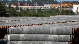 Kabinett bestellt Sonderbeauftragten f&uuml;r Gastransit durch die Ukraine 