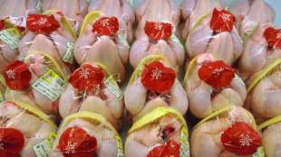 M&auml;nner schlagen in Th&uuml;ringen mit Tiefk&uuml;hlhuhn und Stange aufeinander ein