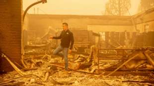 "Dixie Fire" breitet sich weiter aus: Bereits 198.000 Hektar Land vernichtet