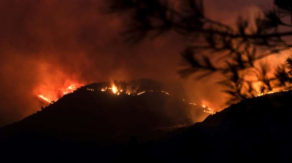 Vier Tote bei Waldbrand auf Zypern