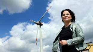 Baerbock (Gr&uuml;ne) will Benzinpreis um 16 Cent anheben