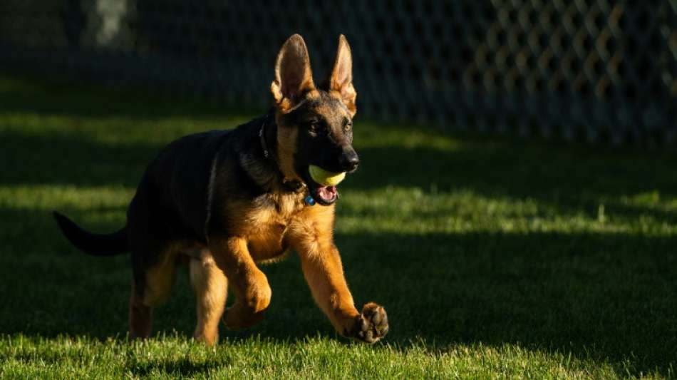 US-Pr&auml;sident hei&szlig;t neuen Hund Commander im Wei&szlig;en Haus willkommen