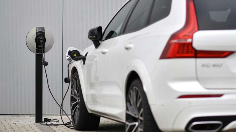 Umweltbundesamt-Pr&auml;sident will f&uuml;r Ausbau der E-Mobilit&auml;t schnell mehr Lades&auml;ulen