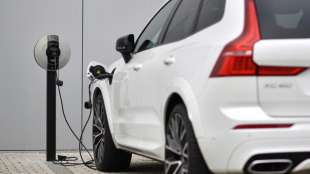 Umweltbundesamt-Pr&auml;sident will f&uuml;r Ausbau der E-Mobilit&auml;t schnell mehr Lades&auml;ulen