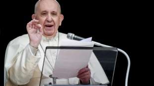 Papst zeigt sich besorgt &uuml;ber Situation in der Ostukraine