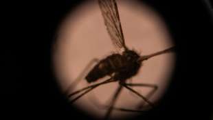 Studie untermauert Furcht vor Ausbreitung resistenter Malaria-Erreger in Afrika