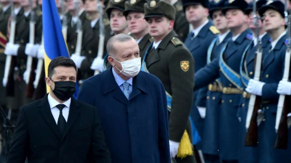 Erdogan bem&uuml;ht sich in Kiew um Vermittlung im Ukraine-Konflikt
