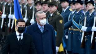 Erdogan bem&uuml;ht sich in Kiew um Vermittlung im Ukraine-Konflikt