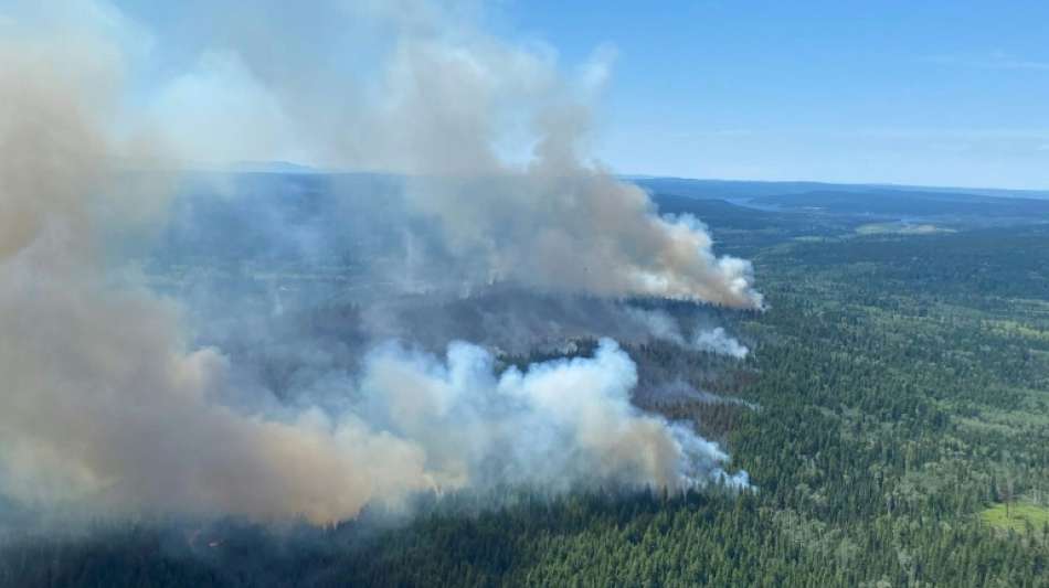 Westkanadische Provinz ruft wegen Waldbr&auml;nden Notstand aus