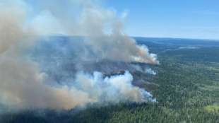 Westkanadische Provinz ruft wegen Waldbr&auml;nden Notstand aus