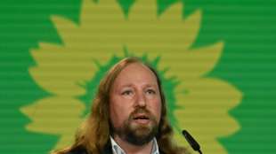 Gr&uuml;ne wollen Tarifeinheitsgesetz abschaffen