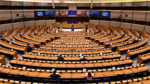 EU-Parlament bereitet wegen Nawalny Aufruf zu Baustopp von Nord Stream 2 vor