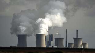 Gruppe von sieben L&auml;ndern will staatliche Exportkredite klimafreundlicher machen