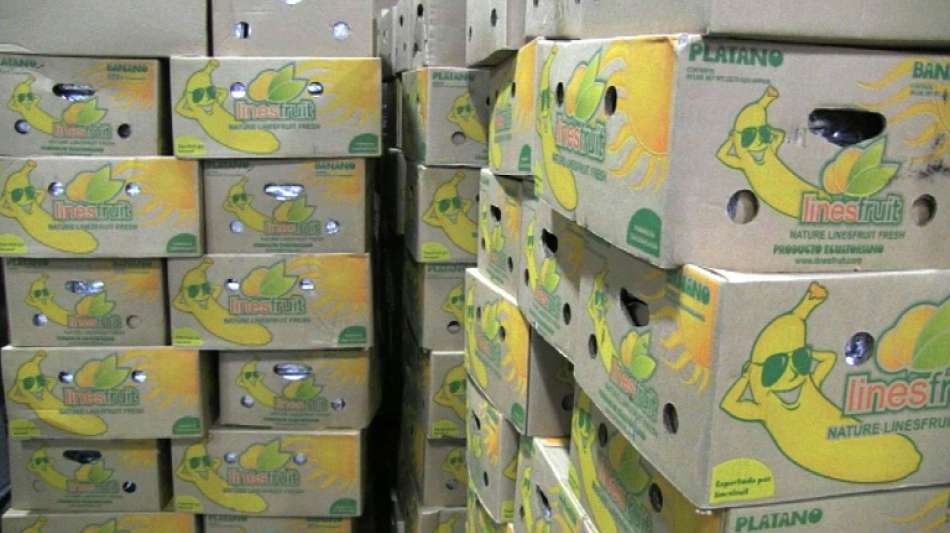 Neues Rekordjahr f&uuml;r Kokain-Funde am Antwerpener Hafen