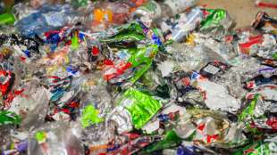 Viele Getränkeproduzenten erfüllen Mehrwegquote nicht