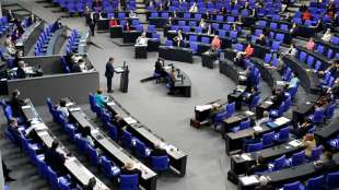 Nebeneink&uuml;nfte von Bundestags-Abgeordneten summieren sich auf 35 Millionen Euro