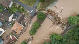 ZEW-&Ouml;konom: "Schnelle Hilfe untergr&auml;bt Anreize zu privater Hochwasser-Vorsorge"