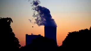 Kohle wichtigster Energietr&auml;ger f&uuml;r Stromerzeugung im ersten Quartal