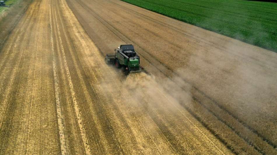 Experten werben f&uuml;r mehr Hecken f&uuml;r Klimaschutz
