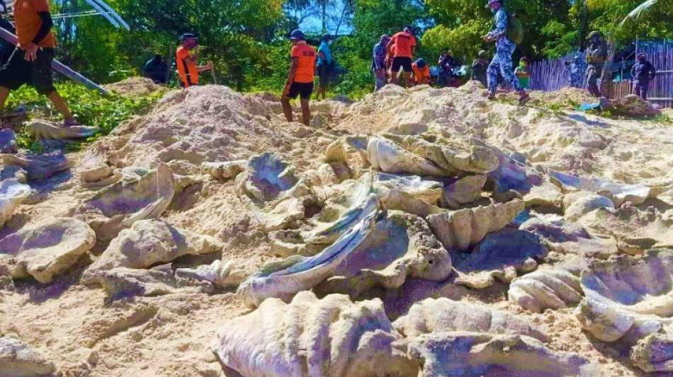 Mehr als 300 illegal gesammelte Riesenmuscheln in Philippinen beschlagnahmt