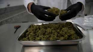 Cannabis-Anbieter Cantourage aus Berlin bereitet B&ouml;rsengang vor