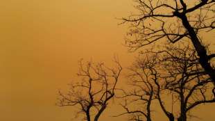 Staubwolke aus der Sahara am Wochenende in Europa erwartet 