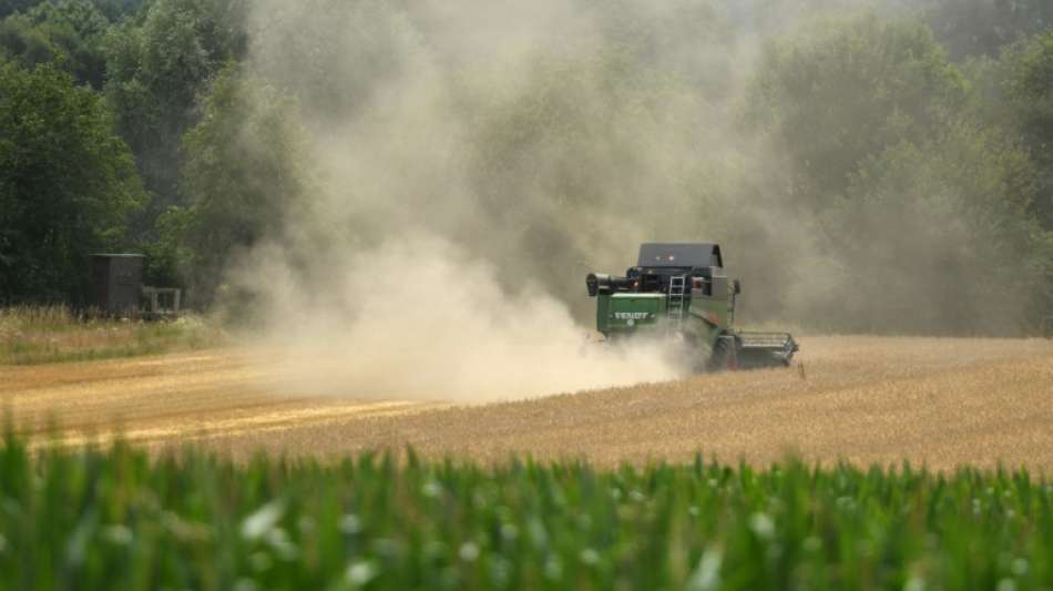 Kleinere Felder in der Landwirtschaft k&ouml;nnten gegen Artensterben helfen