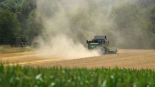 Kleinere Felder in der Landwirtschaft k&ouml;nnten gegen Artensterben helfen