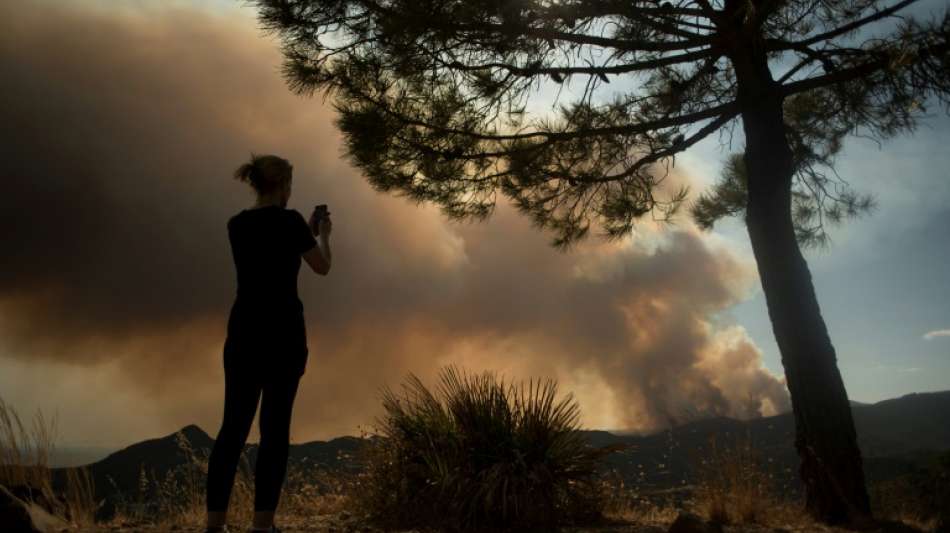 Hunderte Menschen vor Waldbrand in S&uuml;dspanien in Sicherheit gebracht