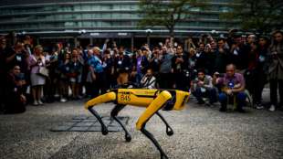 New Yorker Polizei beendet Einsatz von Roboterhund