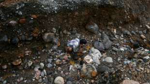Dutzende Tote nach Erdrutsch in Jade-Mine in Myanmar bef&uuml;rchtet