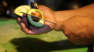 USA stoppen nach Drohung gegen Lebensmittelkontrolleur Avocado-Einfuhr aus Mexiko