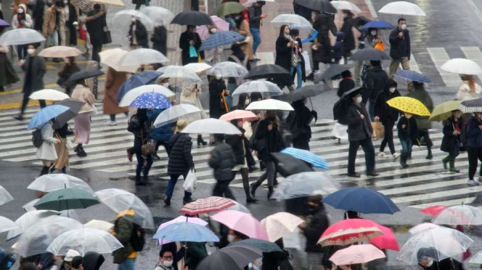 Japans Wirtschaft wuchs im vergangenen Jahr um 1,7 Prozent