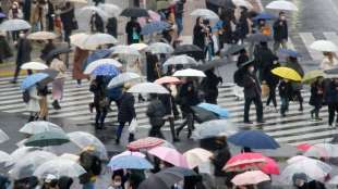 Japans Wirtschaft wuchs im vergangenen Jahr um 1,7 Prozent