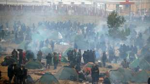 Ministerium: Polen nimmt 100 Migranten an Grenze zu Belarus fest