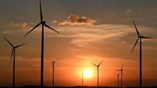 Tennet-Chef: Geplante &Uuml;bertragungsleitungen werden f&uuml;r Energiewende nicht reichen