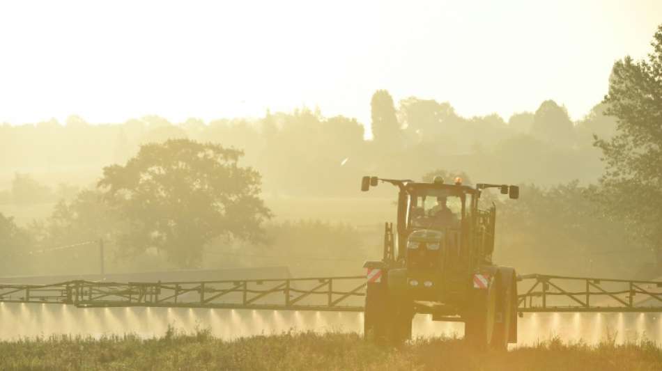 Verwendung von Glyphosat im privaten Bereich wird im Juli oder August verboten